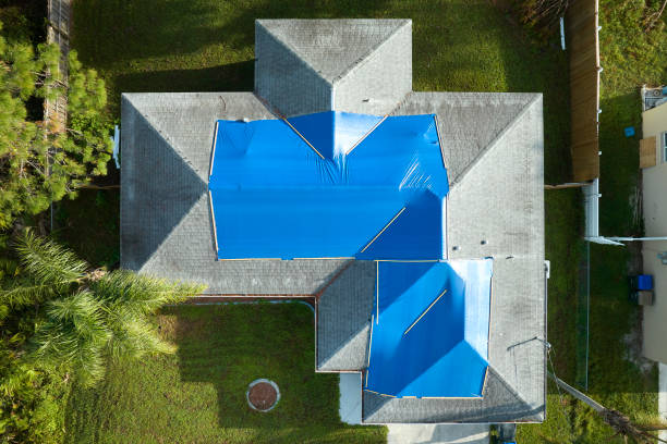 Best Asphalt Shingles Roofing  in Perrysburg, OH